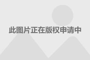 重庆娱乐频道直播(图1)